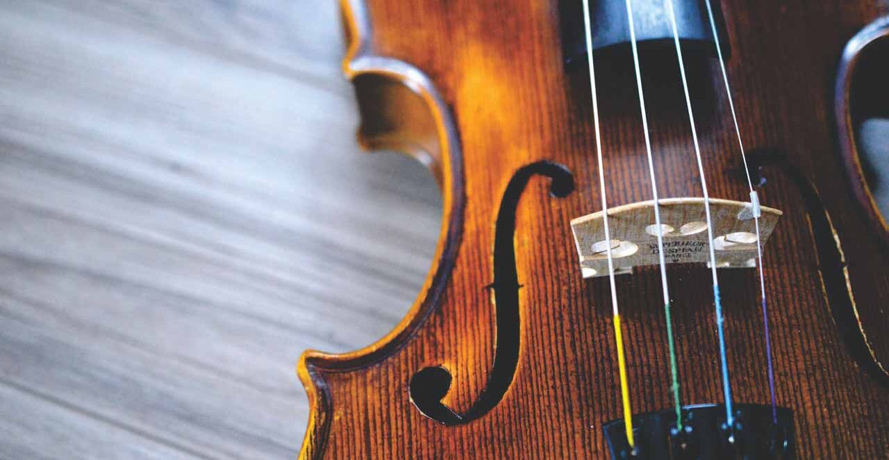 Violino